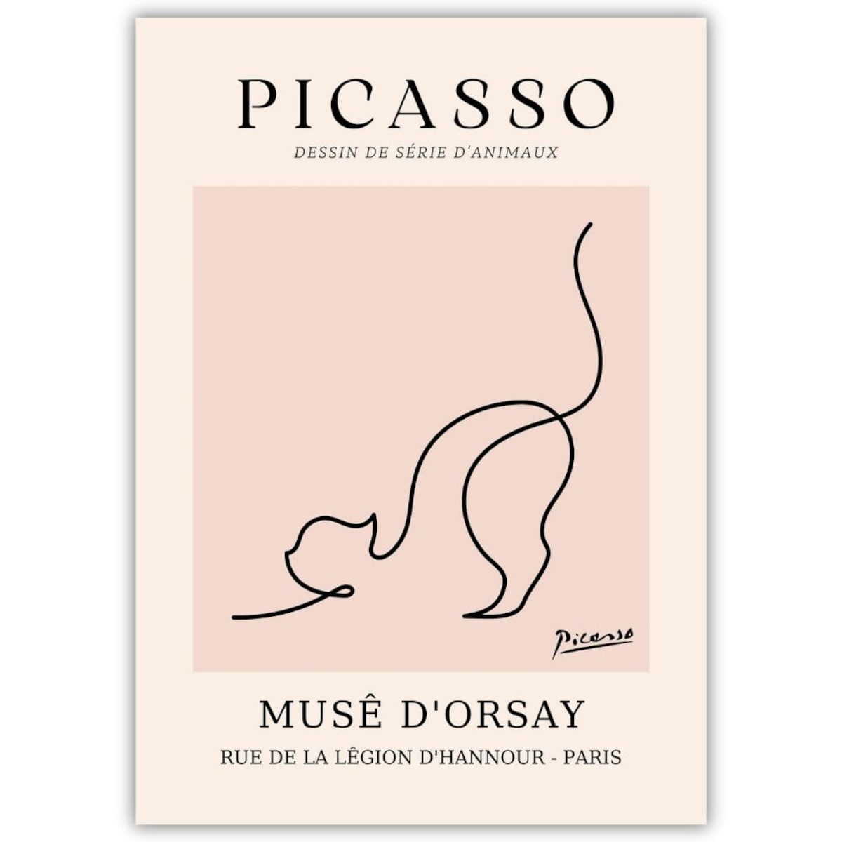 plakat picasso line art kot 21x30