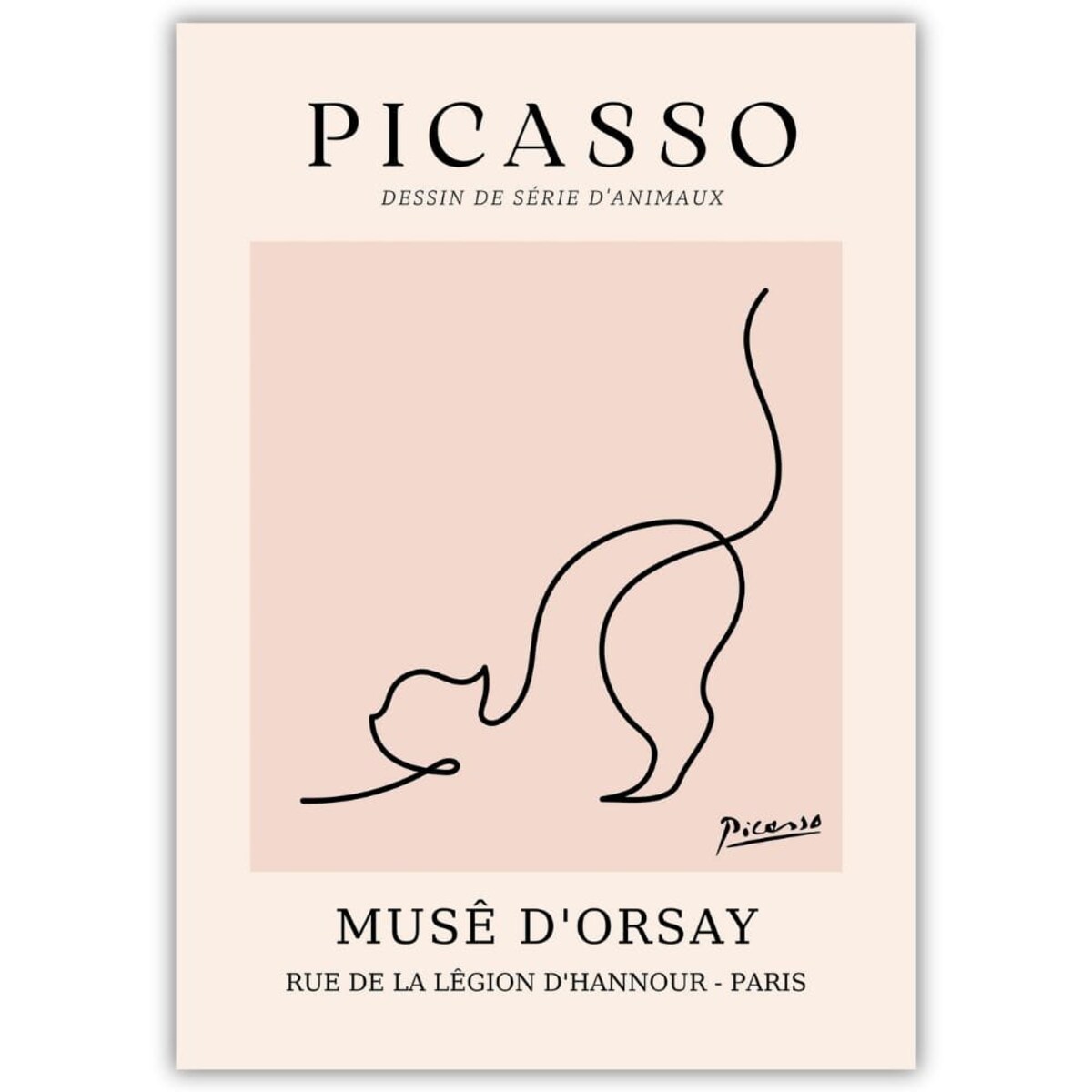 plakat picasso line art kot 21x30