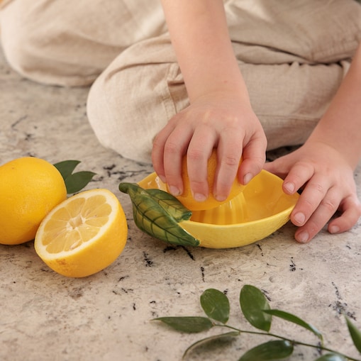 Wyciskarka do cytrusów Lemoni ręcznie malowana