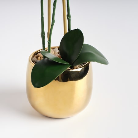 Stroik Orchanes z motywem roślinnym