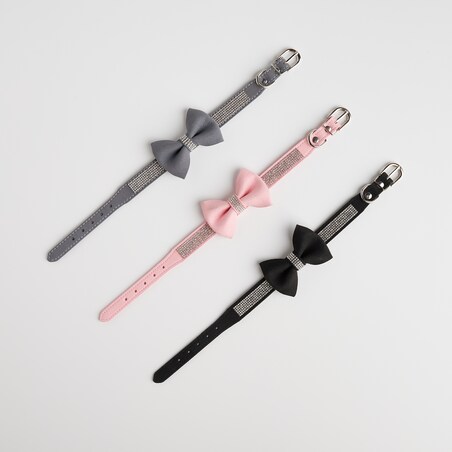 Obroża dla zwierząt Astri