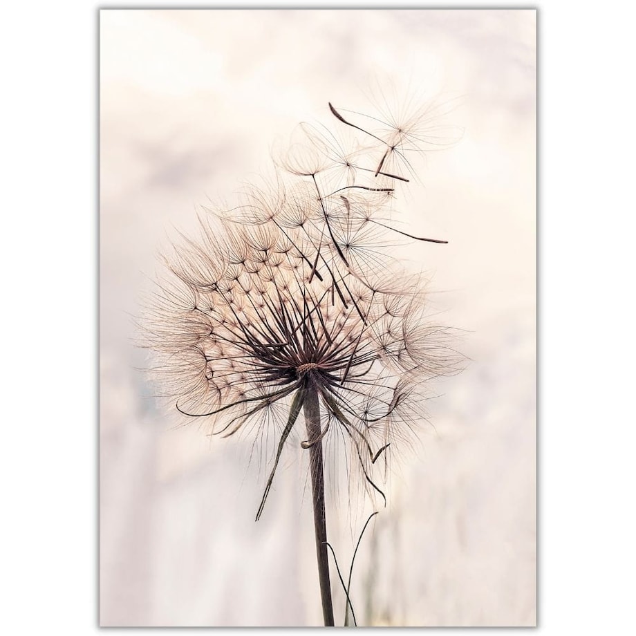 plakat dmuchawiec 2 30x40 cm