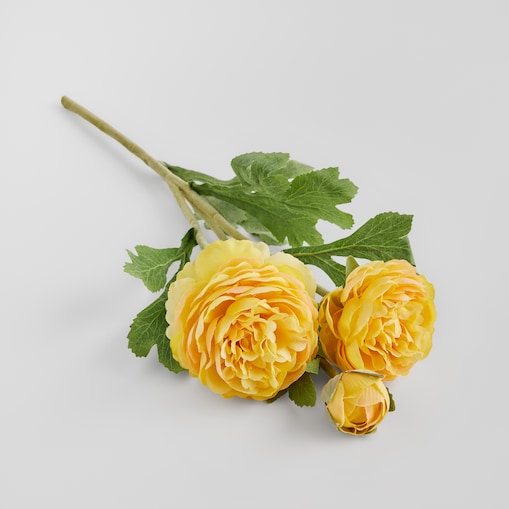 Kwiat Ramoso z motywem kwiatowym