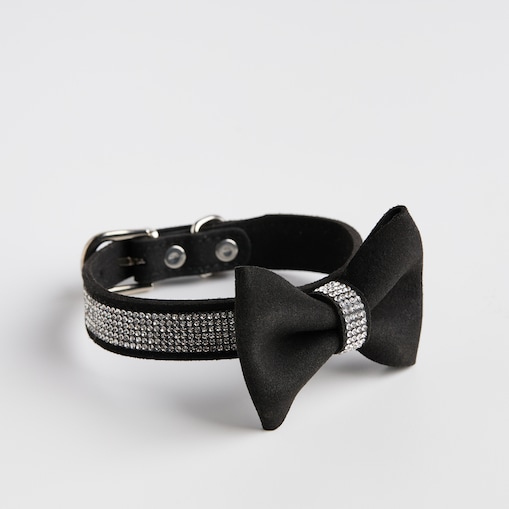 Obroża dla zwierząt Astri