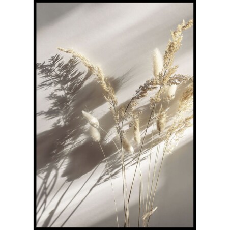 plakat suszona trawa bukiet 30x40 cm