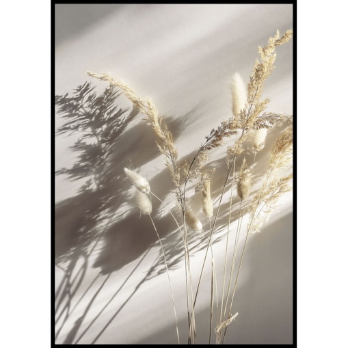 plakat suszona trawa bukiet 30x40 cm