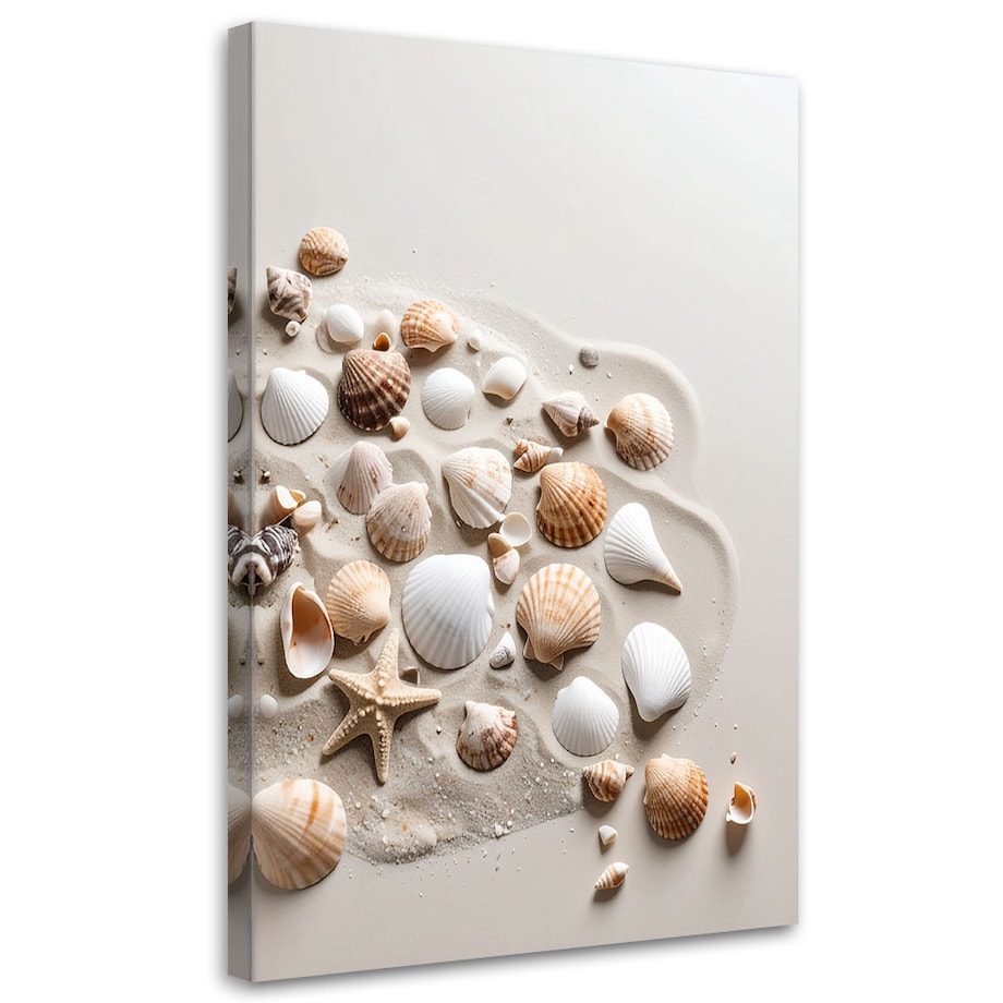 Obraz do salonu kuchni biura, Muszelki plaża natura beżowy 40x60