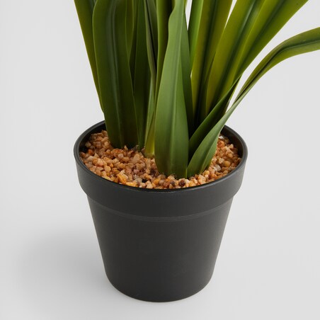 Stroik Agupant z motywem roślinnym