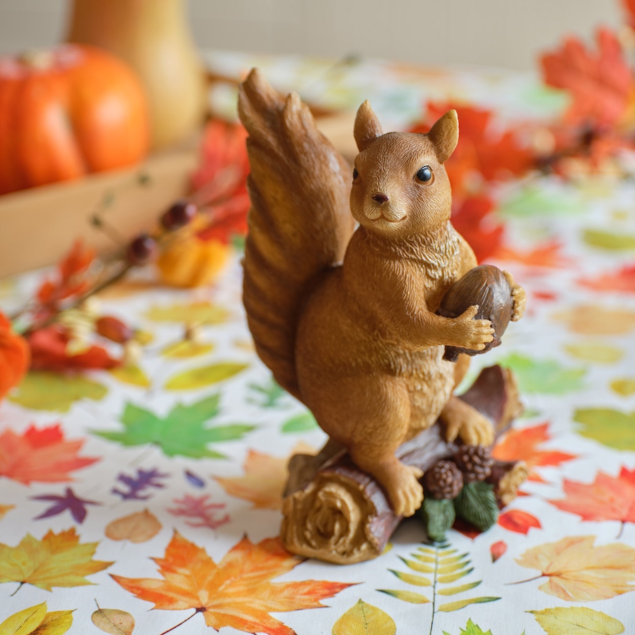 Figurka Squirrely