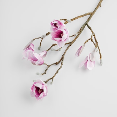 Kwiat Magnoso z motywem roślinnym