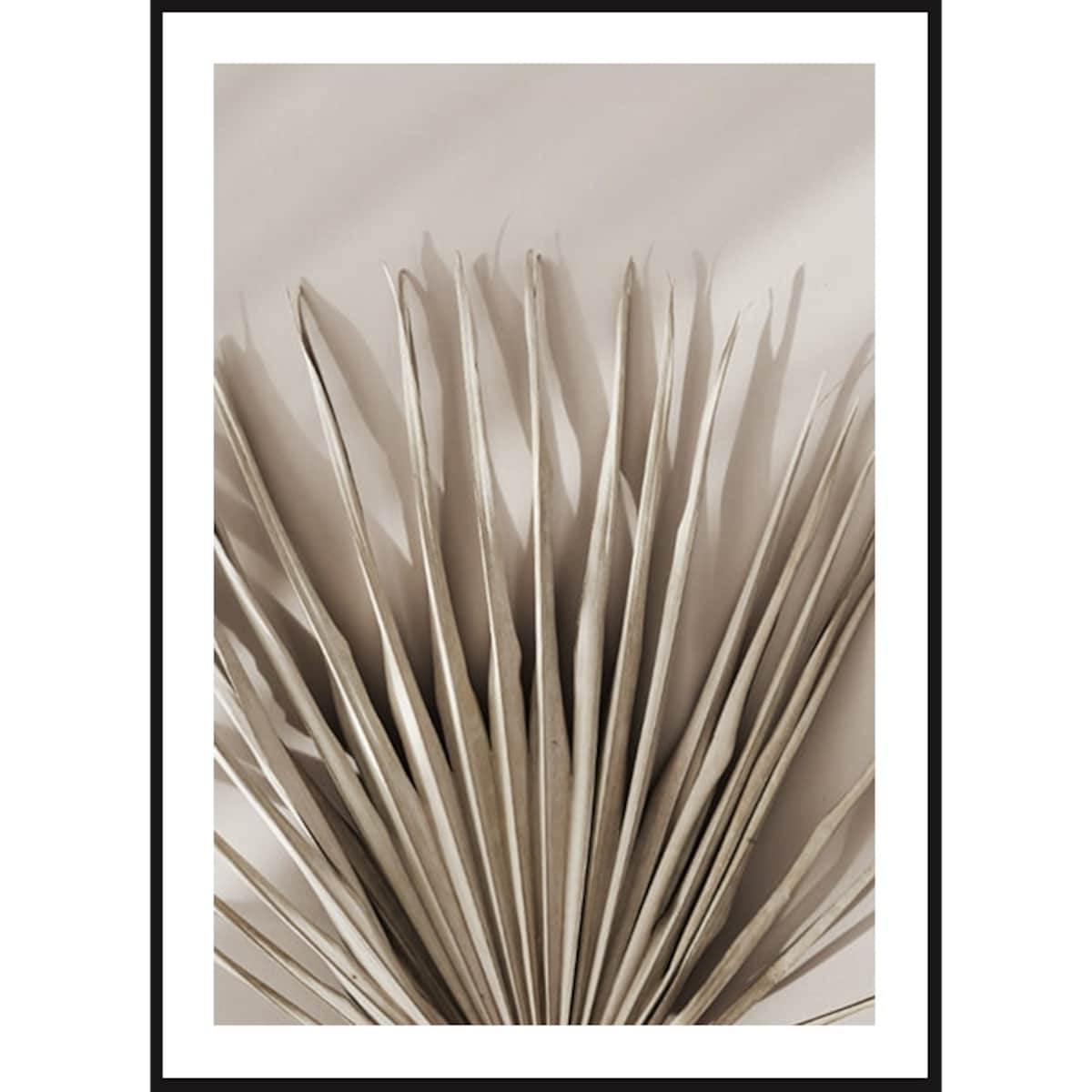 Poster Story, Plakat, Obraz - Beżowa Palma No2, wymiary 50 x 70 cm