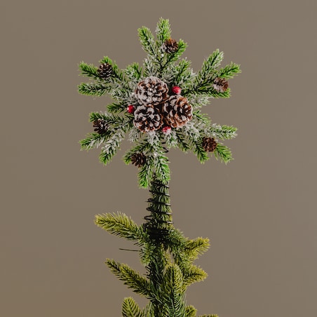 Czubek Na Choinkę Forest