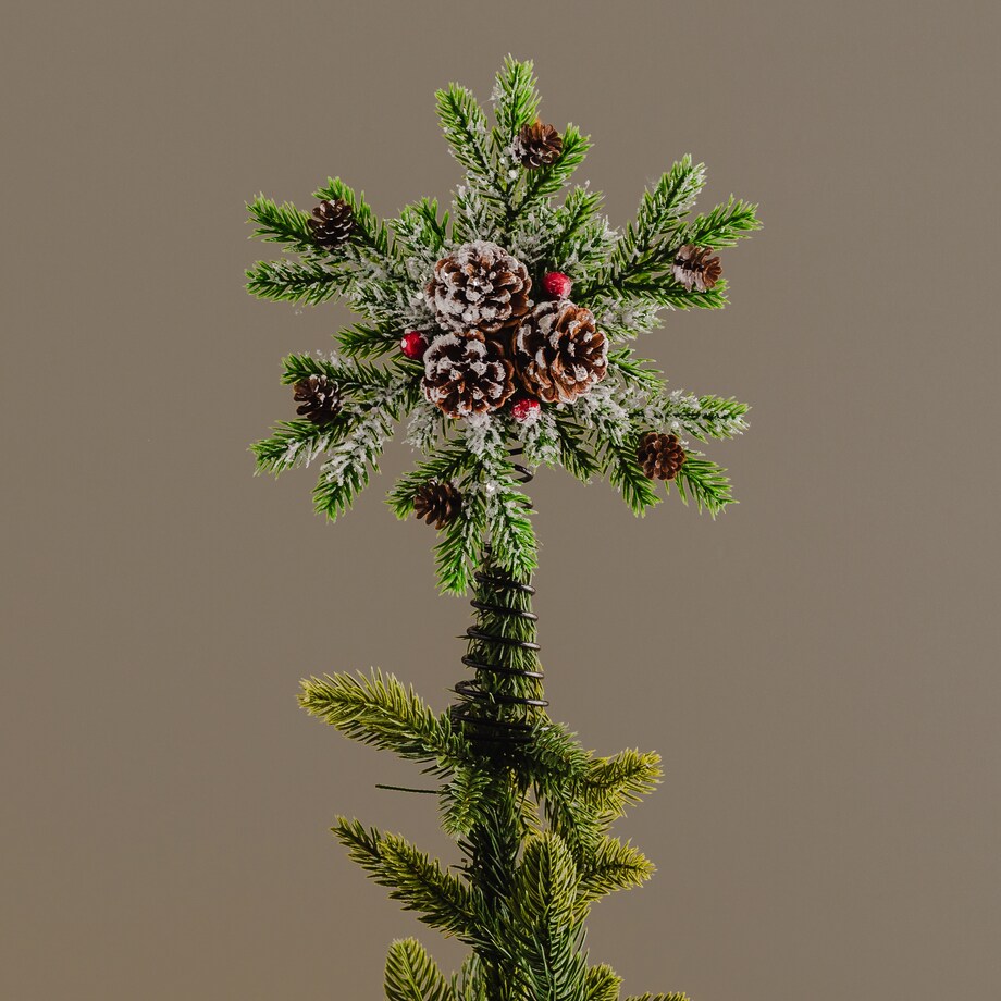 Czubek Na Choinkę Forest