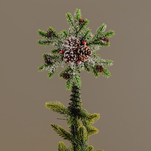 Czubek Na Choinkę Forest