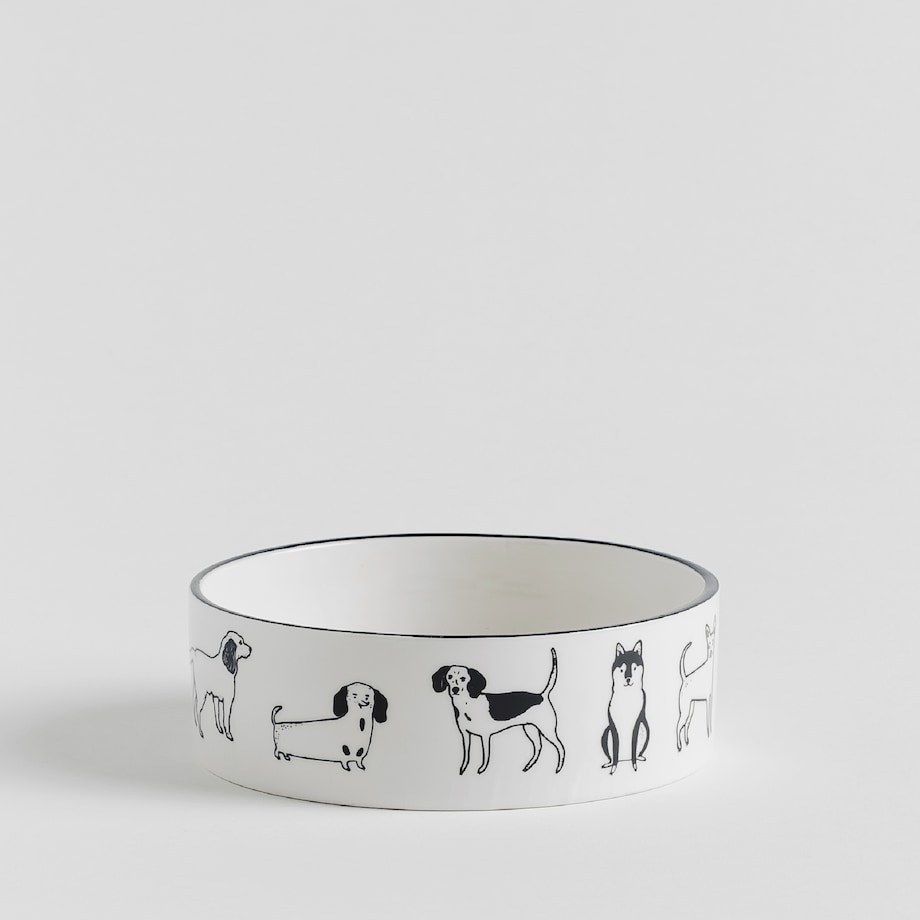 Pets Bowl Dogisso 