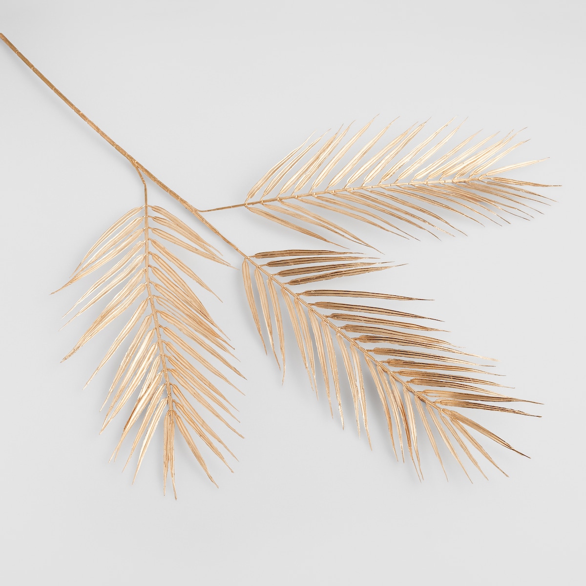 Kwiat Goldleaf