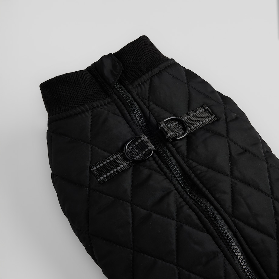 Ubranko Dla Zwierzaka Celio