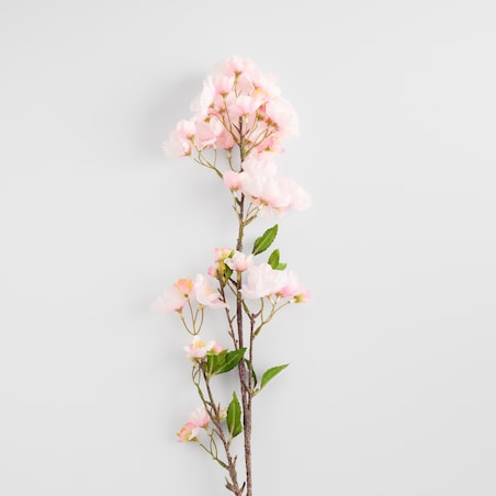 Kwiat Cerezo z motywem roślinnym