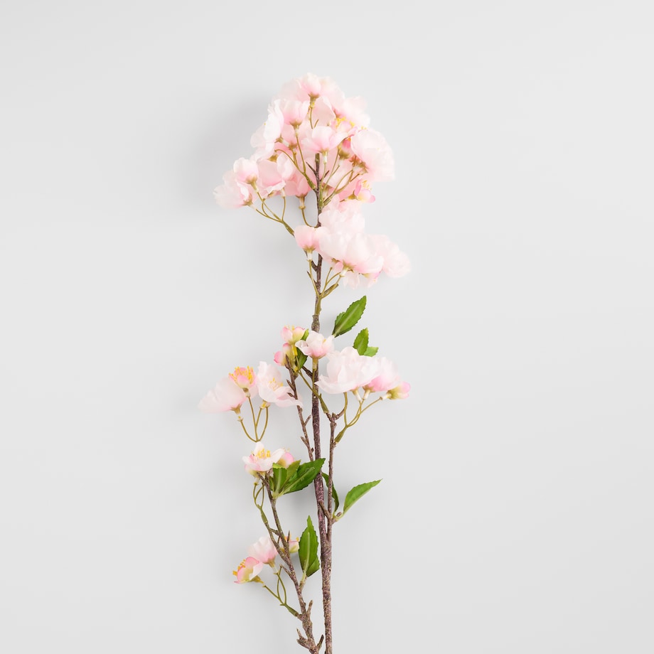 Kwiat Cerezo z motywem roślinnym