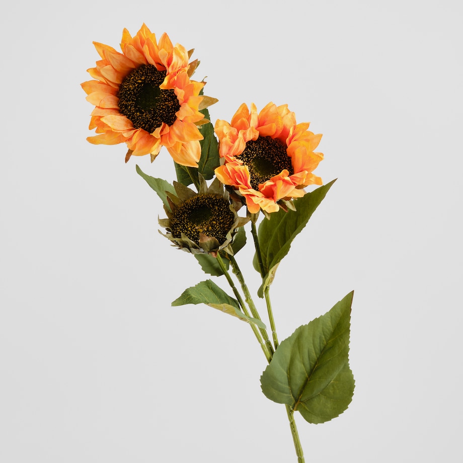 Bukiet Sunfloweris