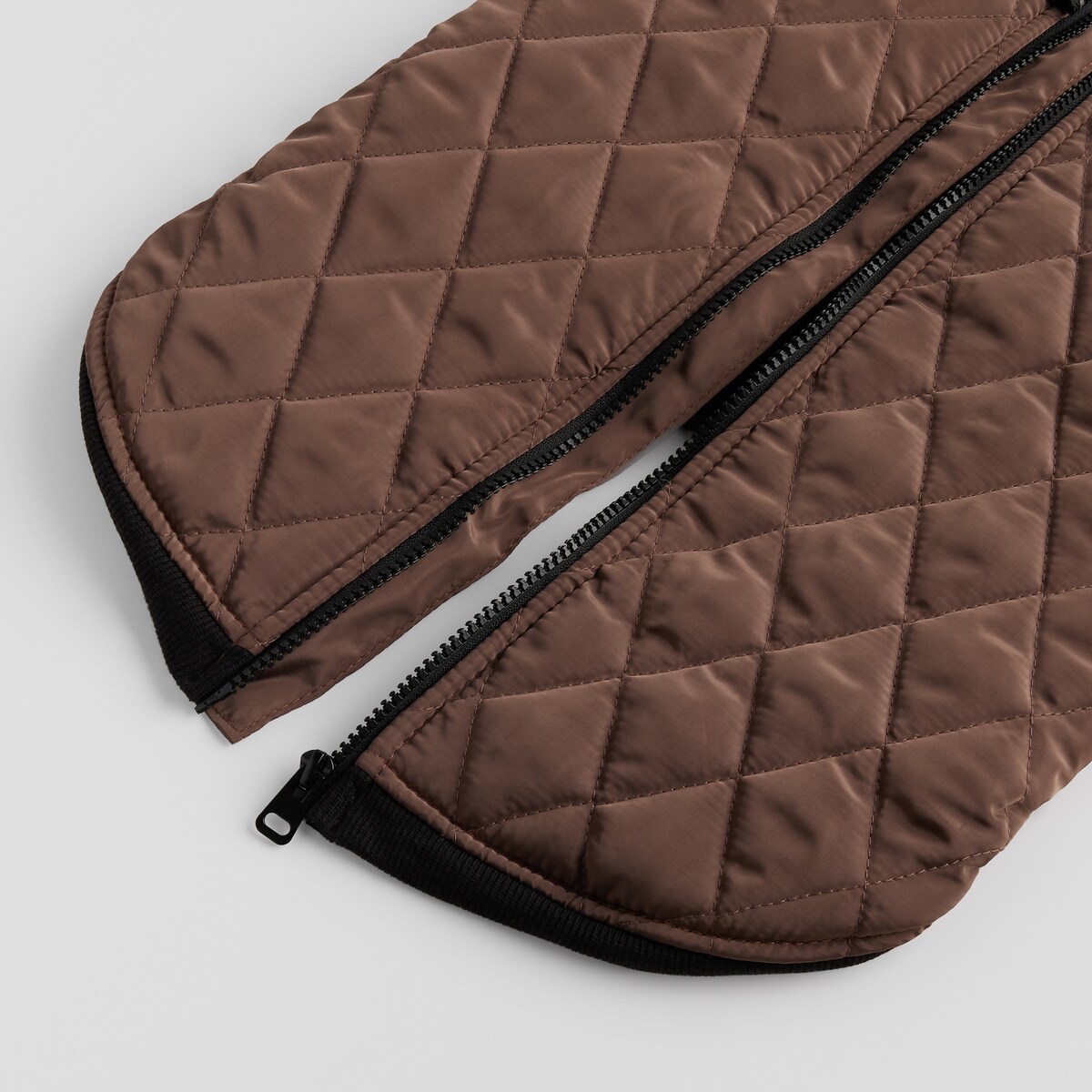 Ubranko Dla Zwierzaka Celio