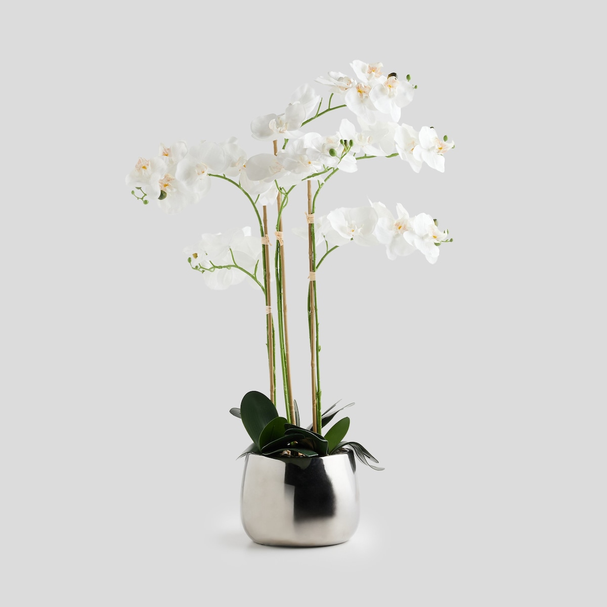 Stroik Orchide