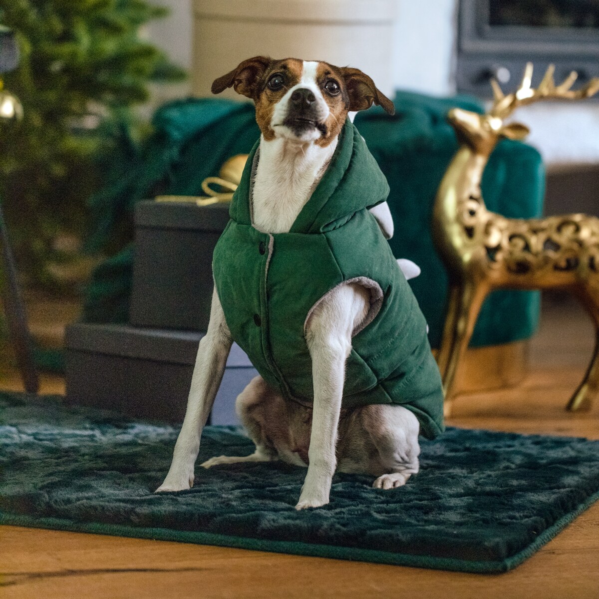 Gadżet Dla Zwierzaka Dogosaur