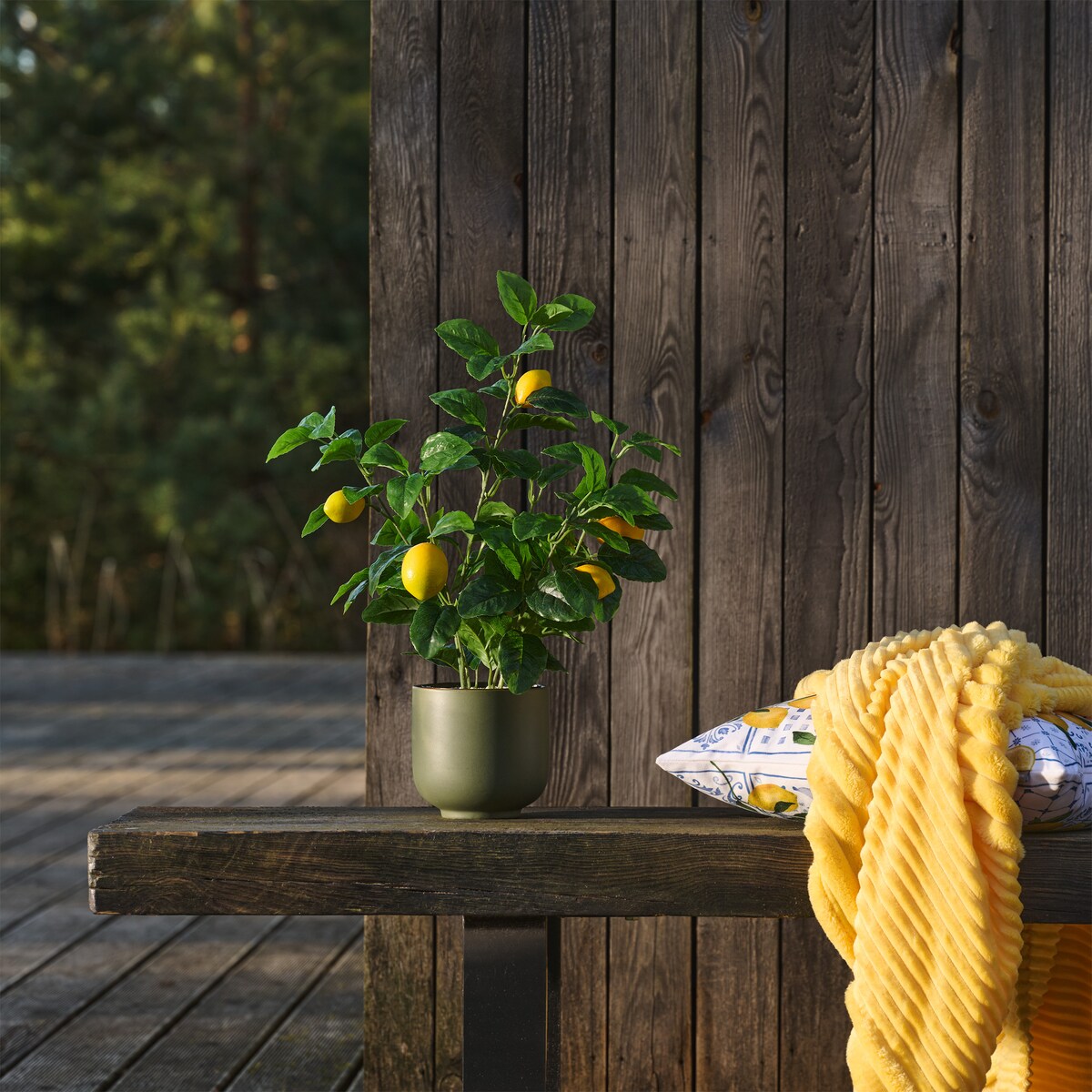 Stroik Lemono z motywem owoców