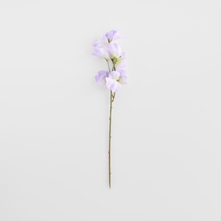 Kwiat Belisi z motywem kwiatowym