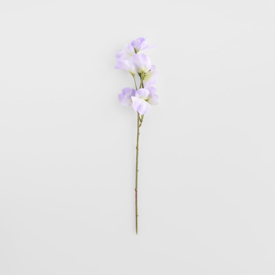 Kwiat Belisi z motywem kwiatowym