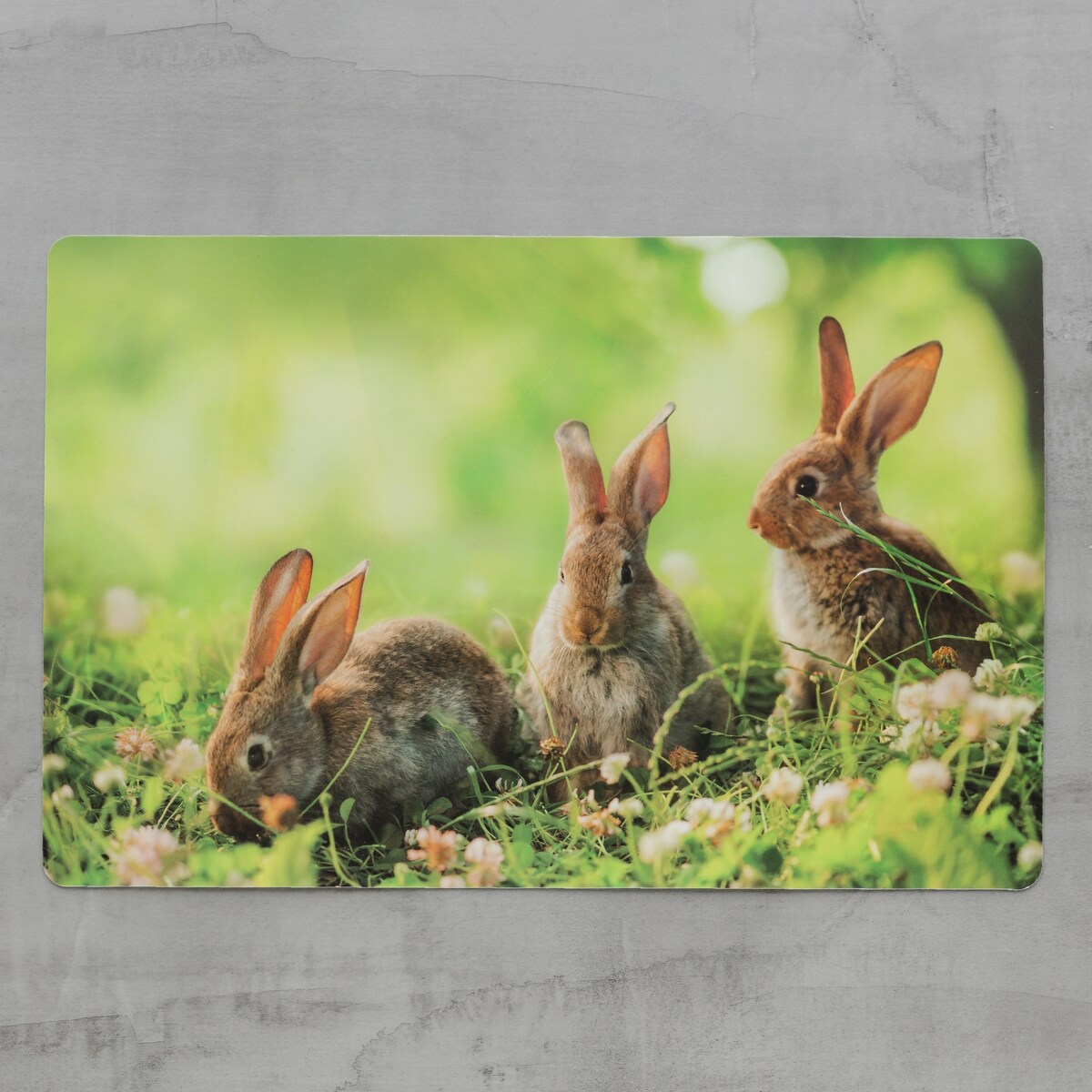 Podkładka Dekoracyjna Grasshare