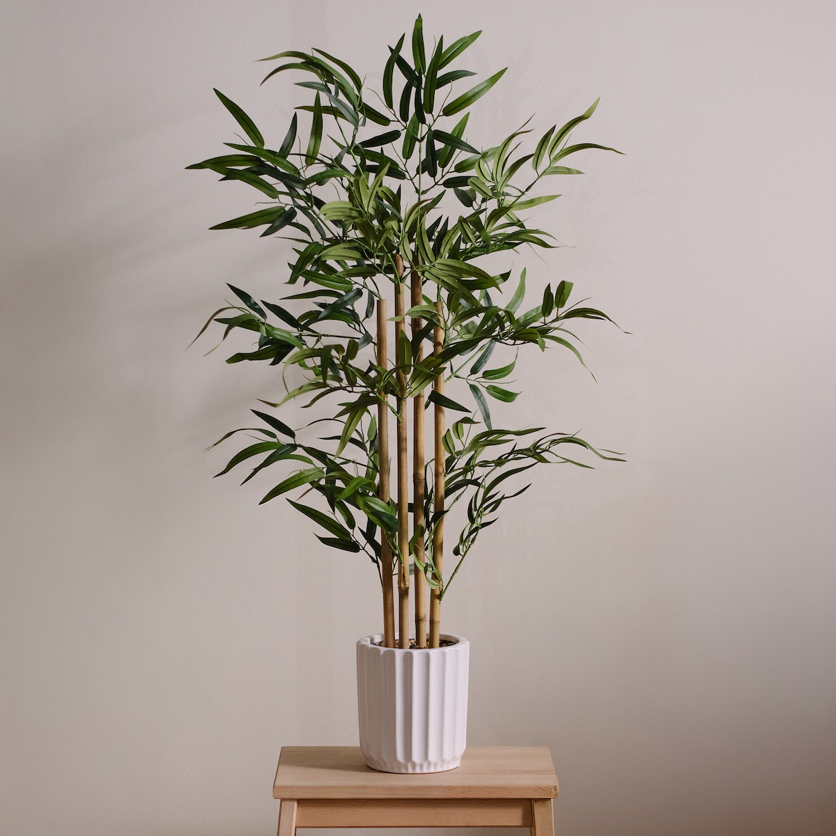 Stroik Ventrico z motywem liściastym