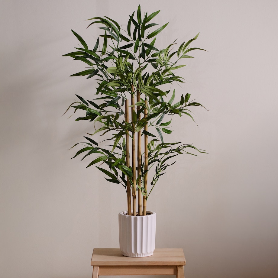 Stroik Ventrico z motywem liściastym