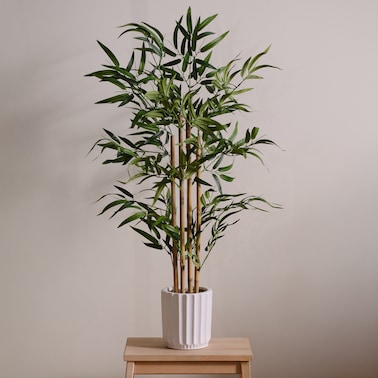 Stroik Ventrico z motywem liściastym