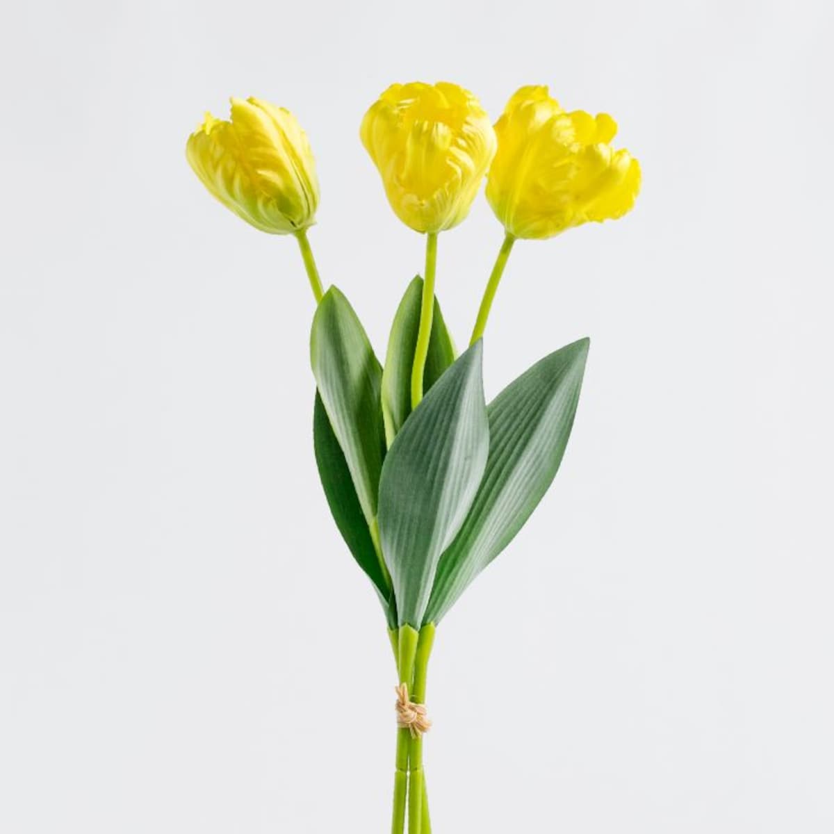 Bukiet Tulipanes