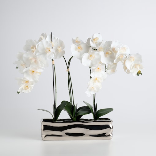 Stroik Orchianum big z motywem roślinnym