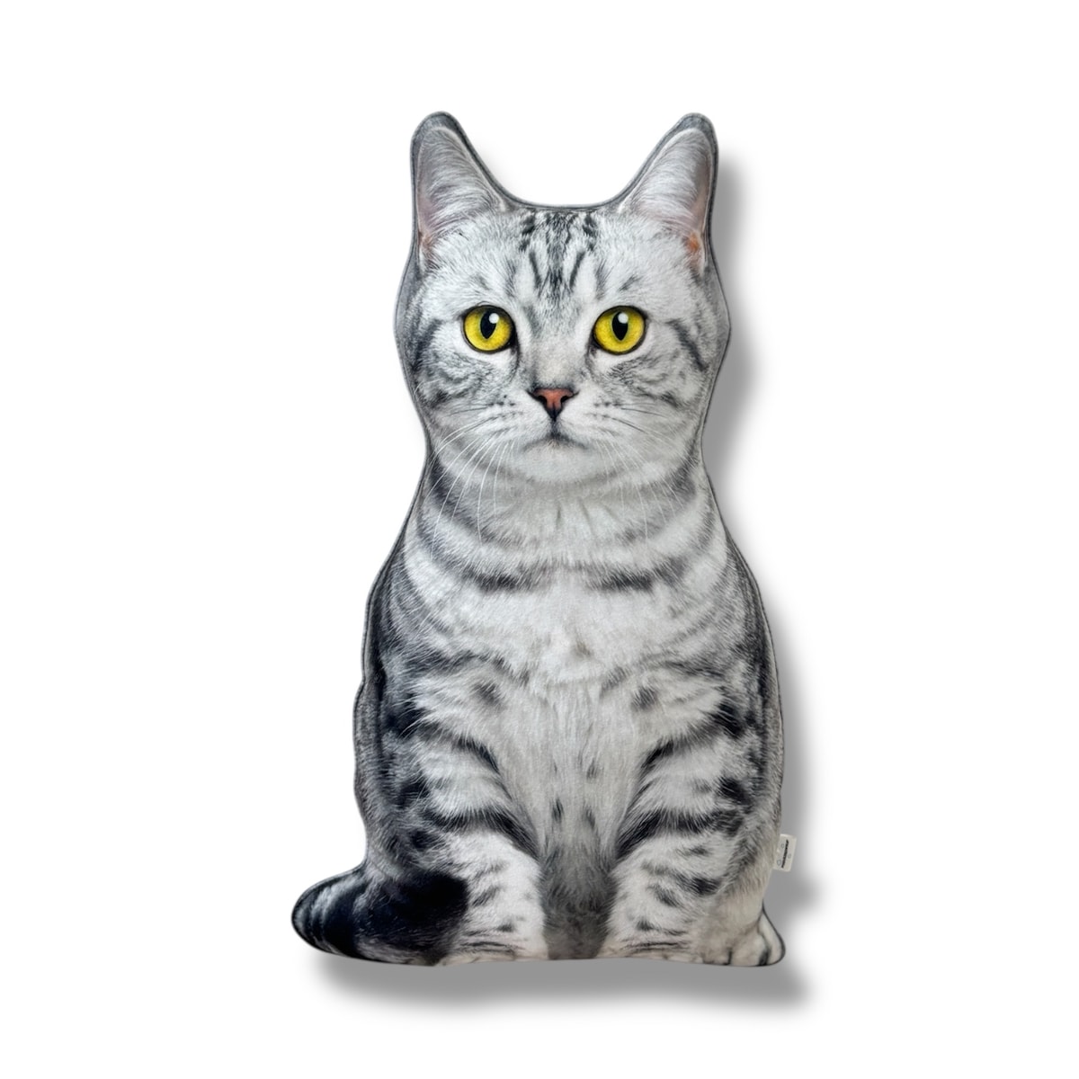 Poduszka dekoracyjna Kot domowy pręgowany srebrzysty jasny szary