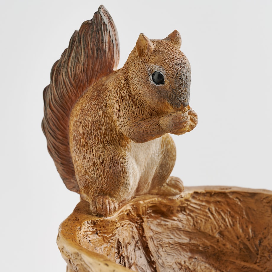 Misa Dekoracyjna Squireli