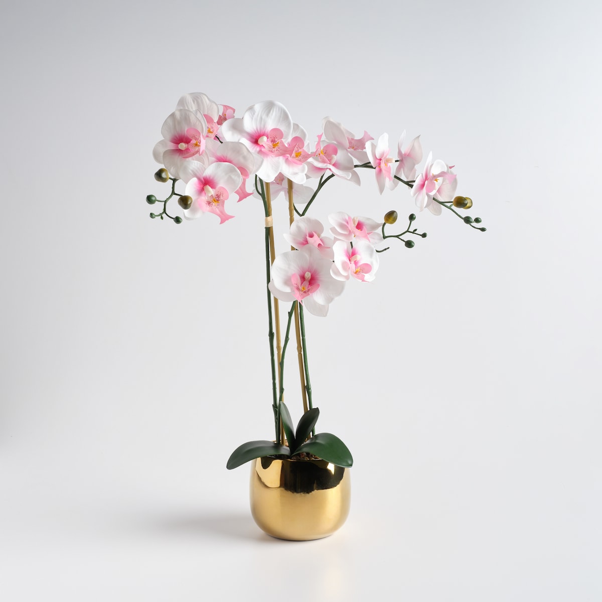 Stroik Orchanes z motywem roślinnym