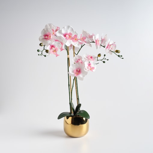 Stroik Orchanes z motywem roślinnym