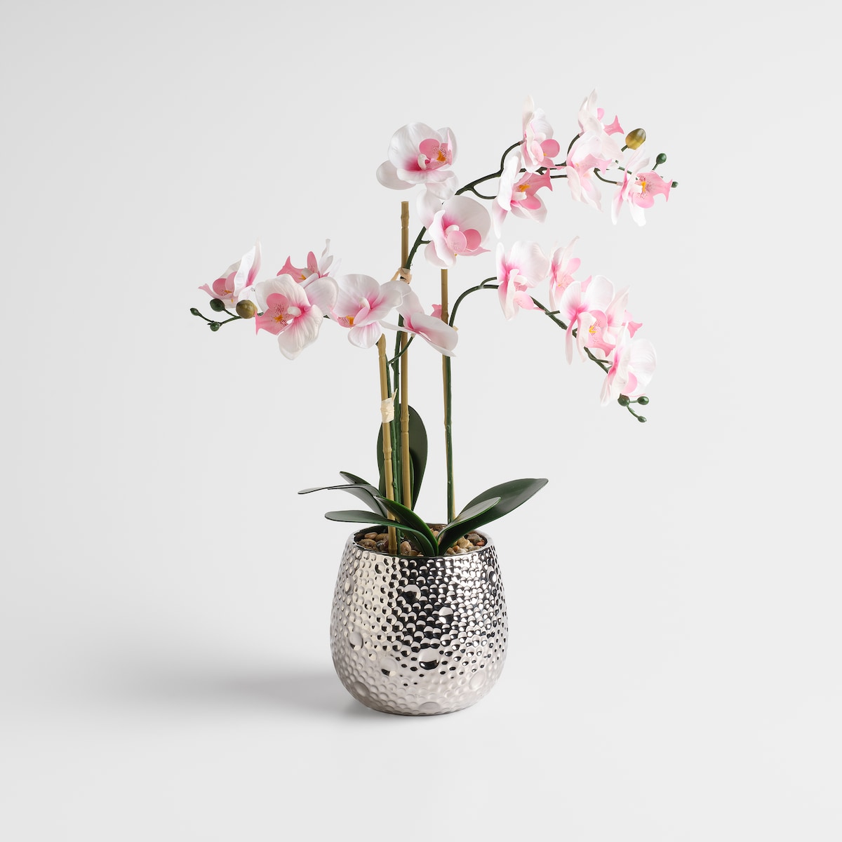 Stroik Orchillo z motywem roślinnym