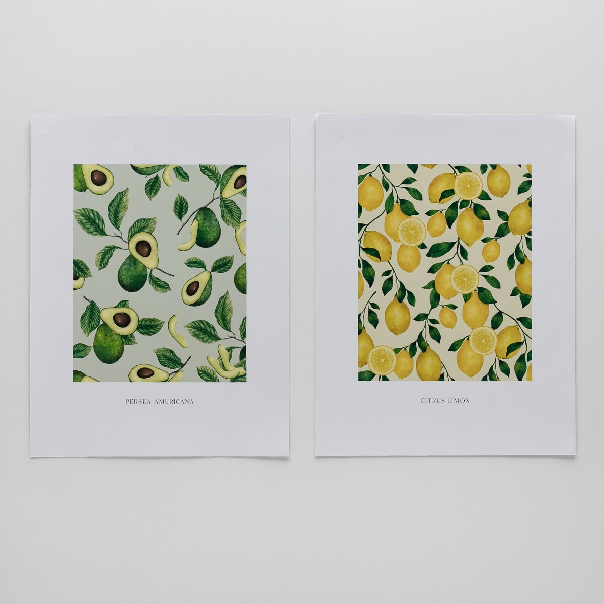 Zestaw Plakatów Fruiti