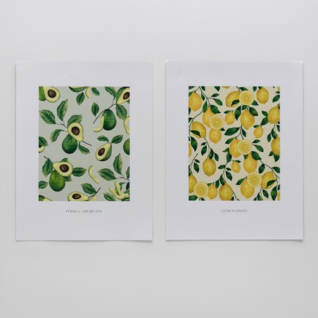 Zestaw Plakatów Fruiti