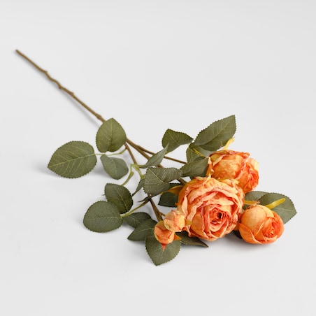 Bukiet Rosette