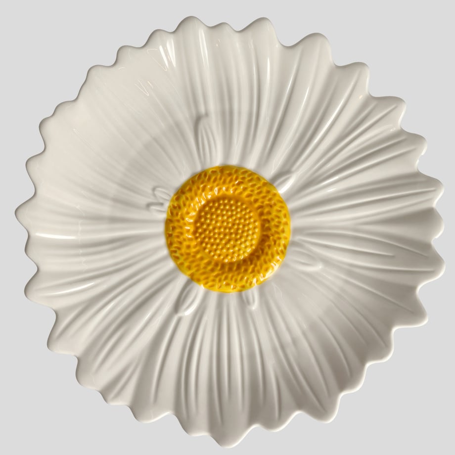 Patera Daisies