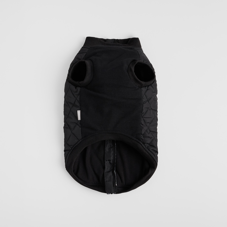 Ubranko Dla Zwierzaka Celio