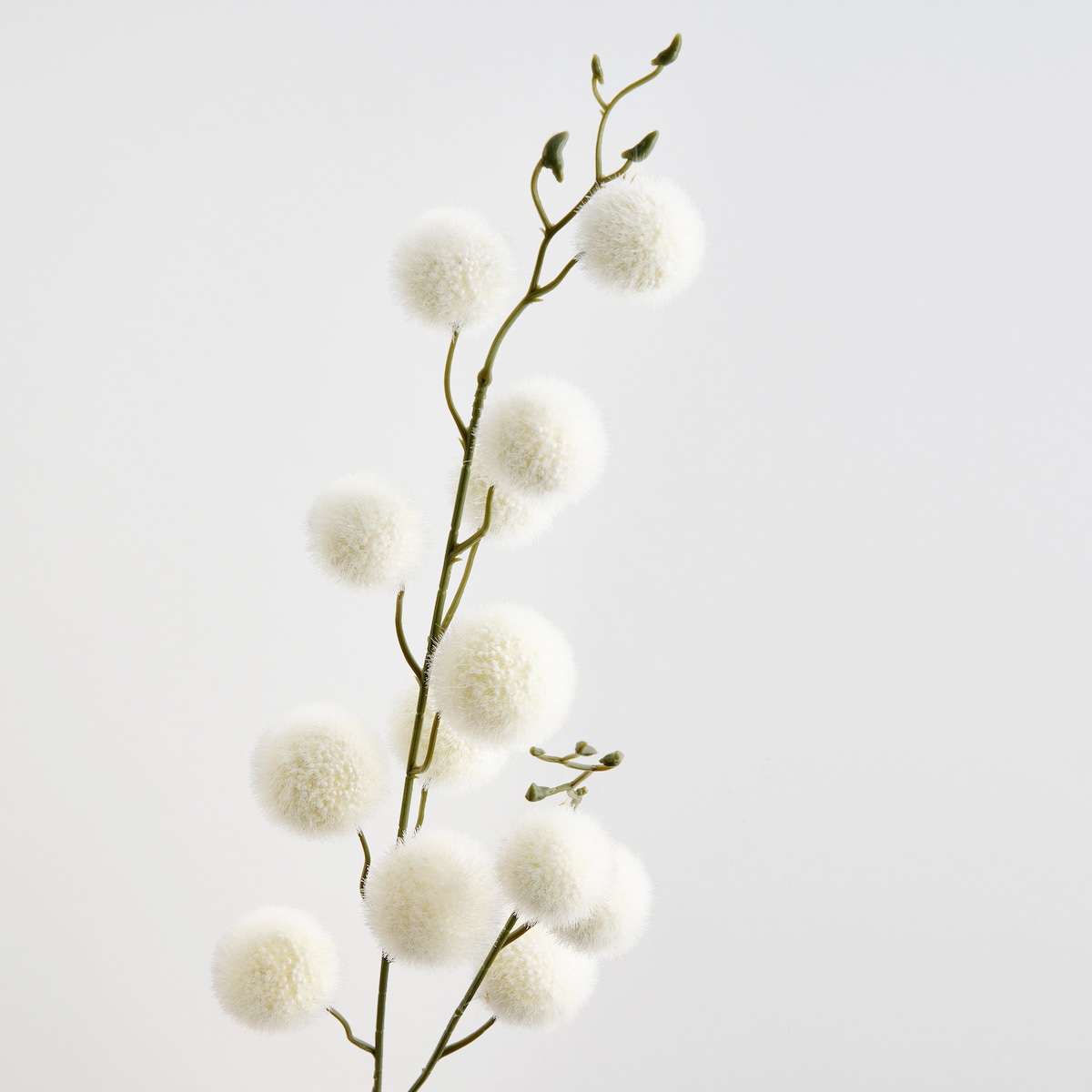 Kwiat Divinos z motywem roślinnym