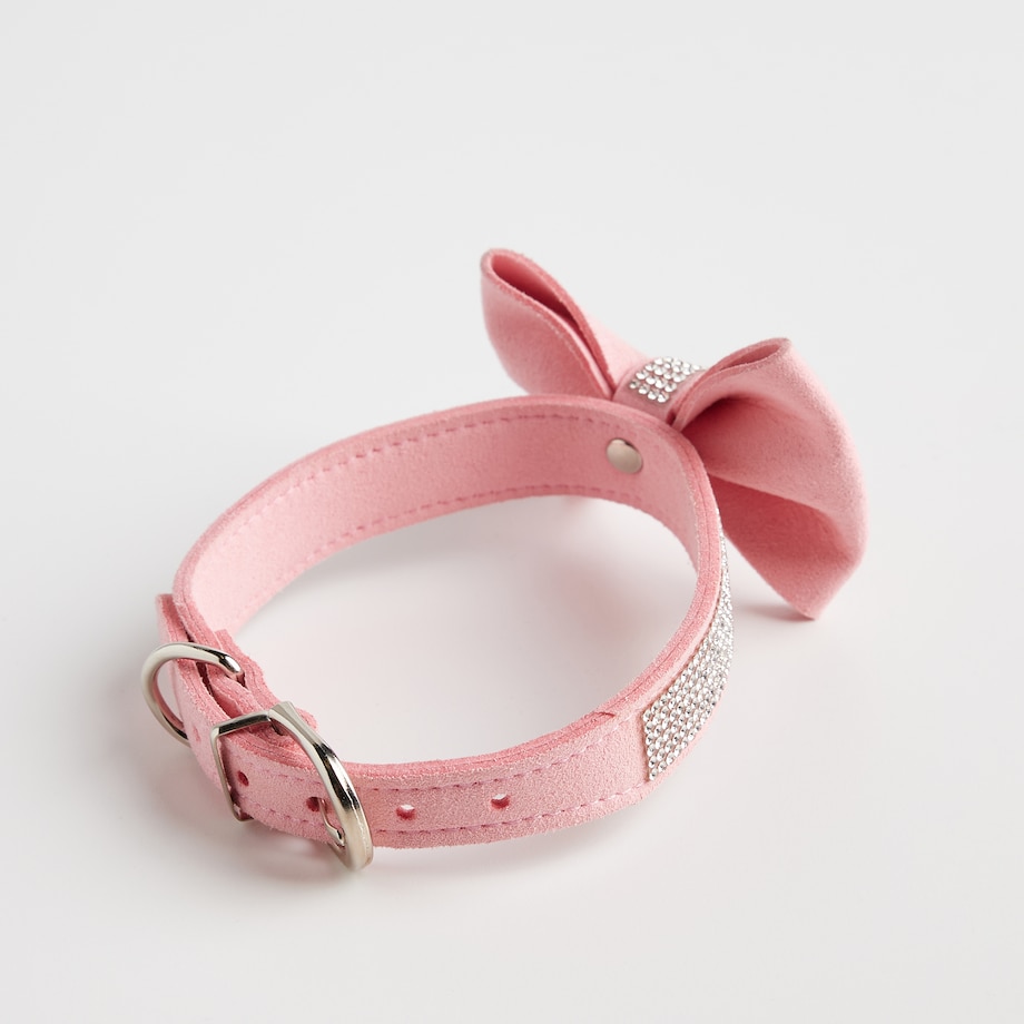 Obroża dla zwierząt Astri