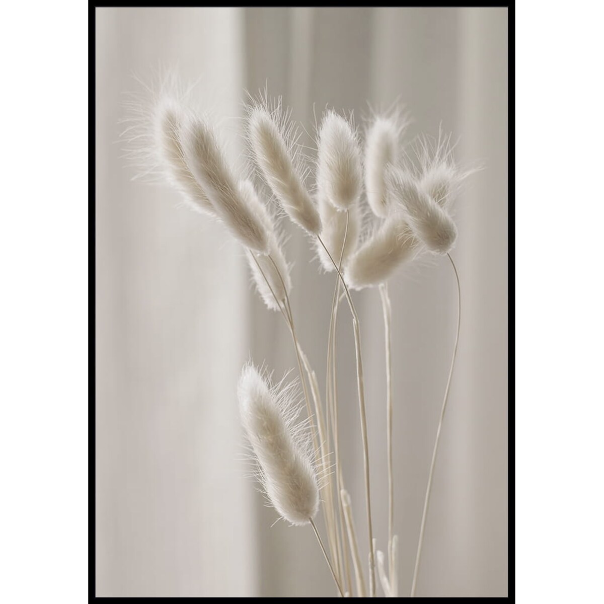 plakat suche trawy 30x40 cm