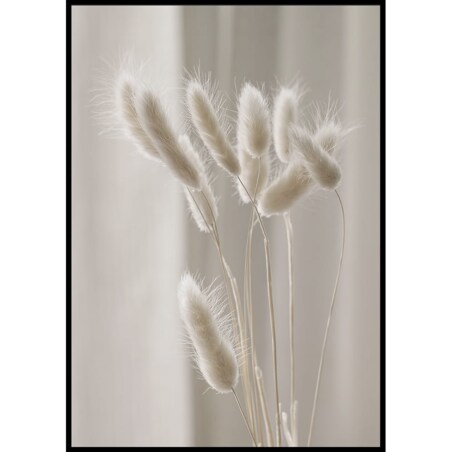 plakat suche trawy 30x40 cm